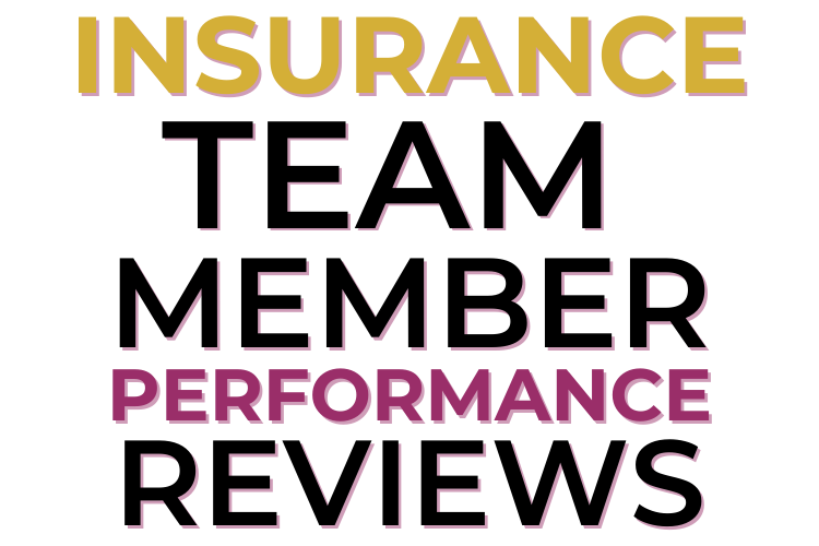 Insurance Team Member Performance Reviews